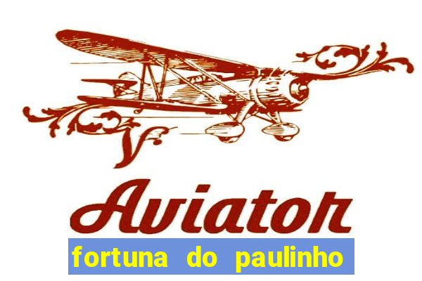 fortuna do paulinho do roupa nova